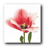 ����� ��� ��������� Thea Gouverneur 518