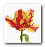 ����� ��� ��������� Thea Gouverneur 519