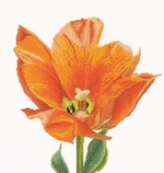 Набор для вышивания Thea Gouverneur 523A