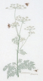 Thea Gouverneur 1067