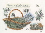 Thea Gouverneur 579