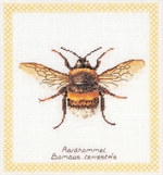 Thea Gouverneur 3018A