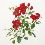 Thea Gouverneur 411