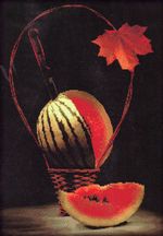 Юнона 0103