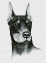 Юнона 0501