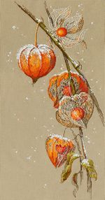 Золотые ручки НП-001