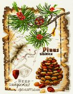 Золотые ручки СП-002